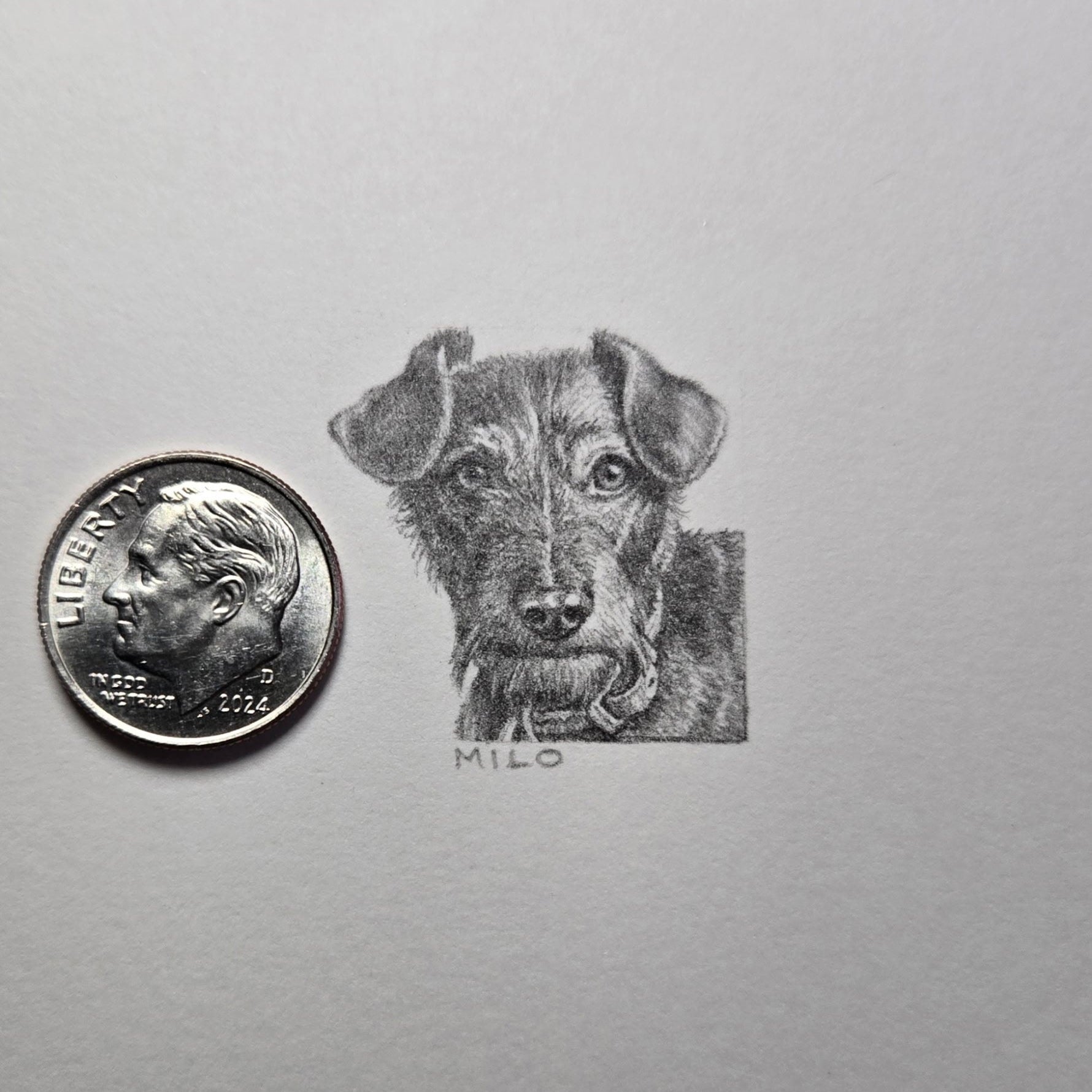 1-inch-by-1-inch original black-and-white pencil portrait of your pet