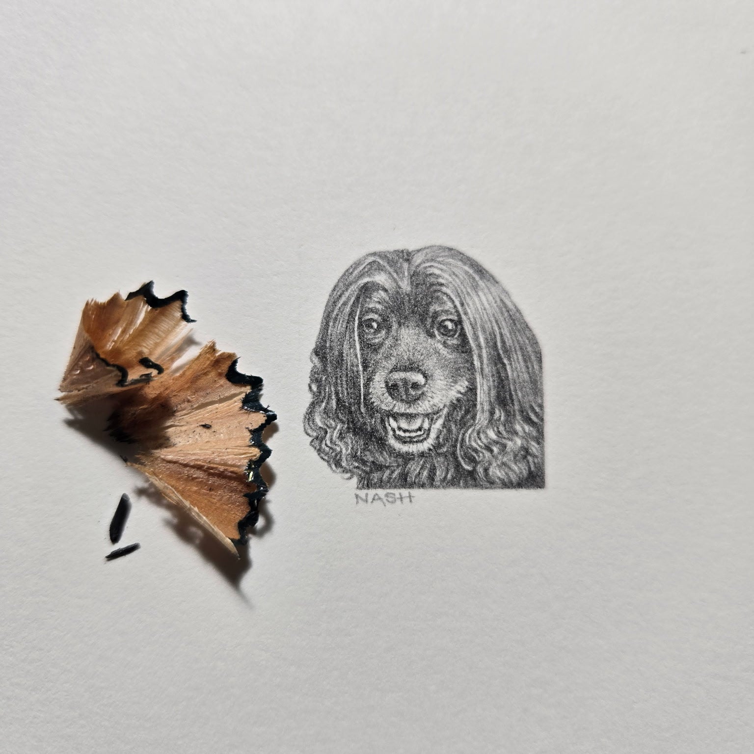 1-inch-by-1-inch original black-and-white pencil portrait of your pet