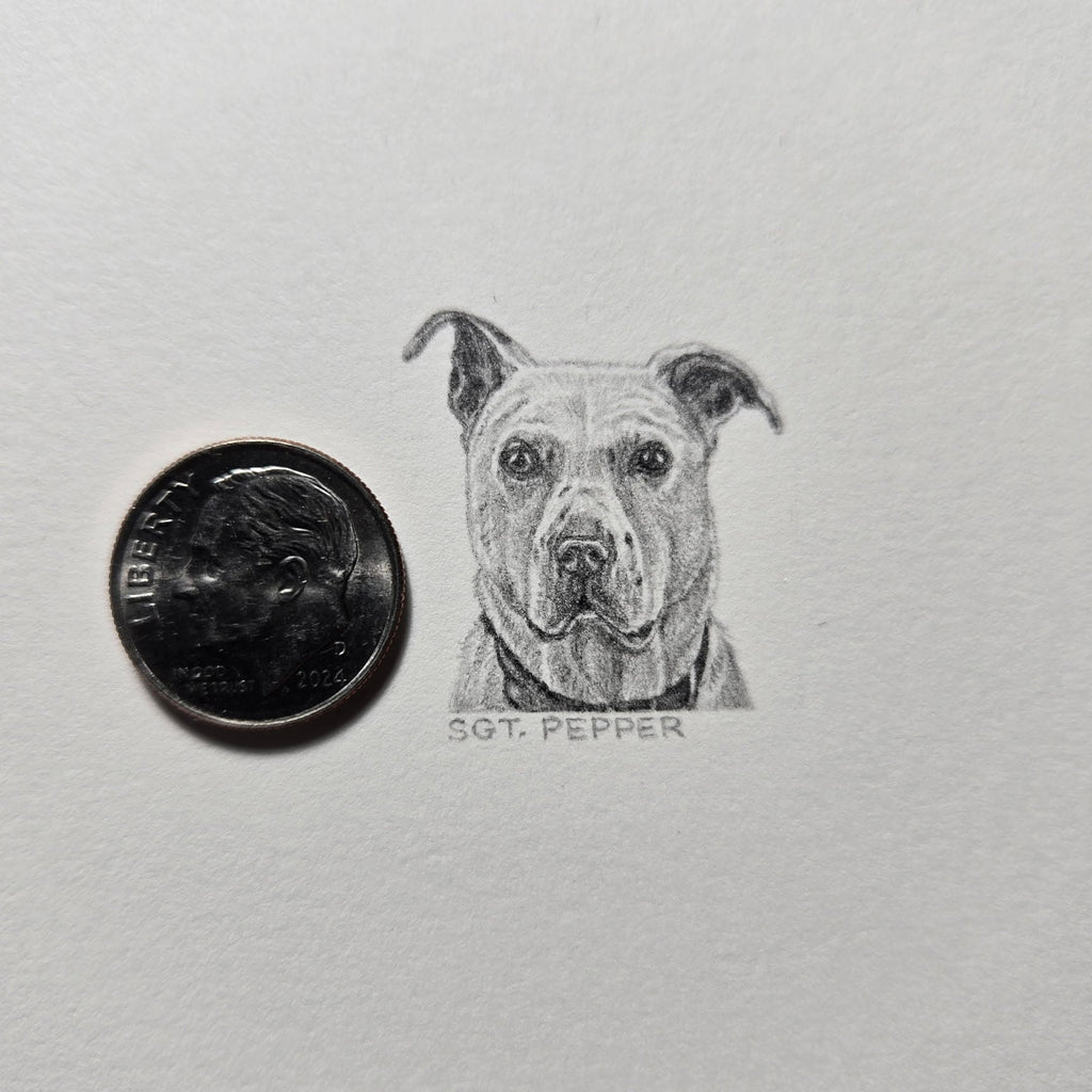 1-inch-by-1-inch original black-and-white pencil portrait of your pet