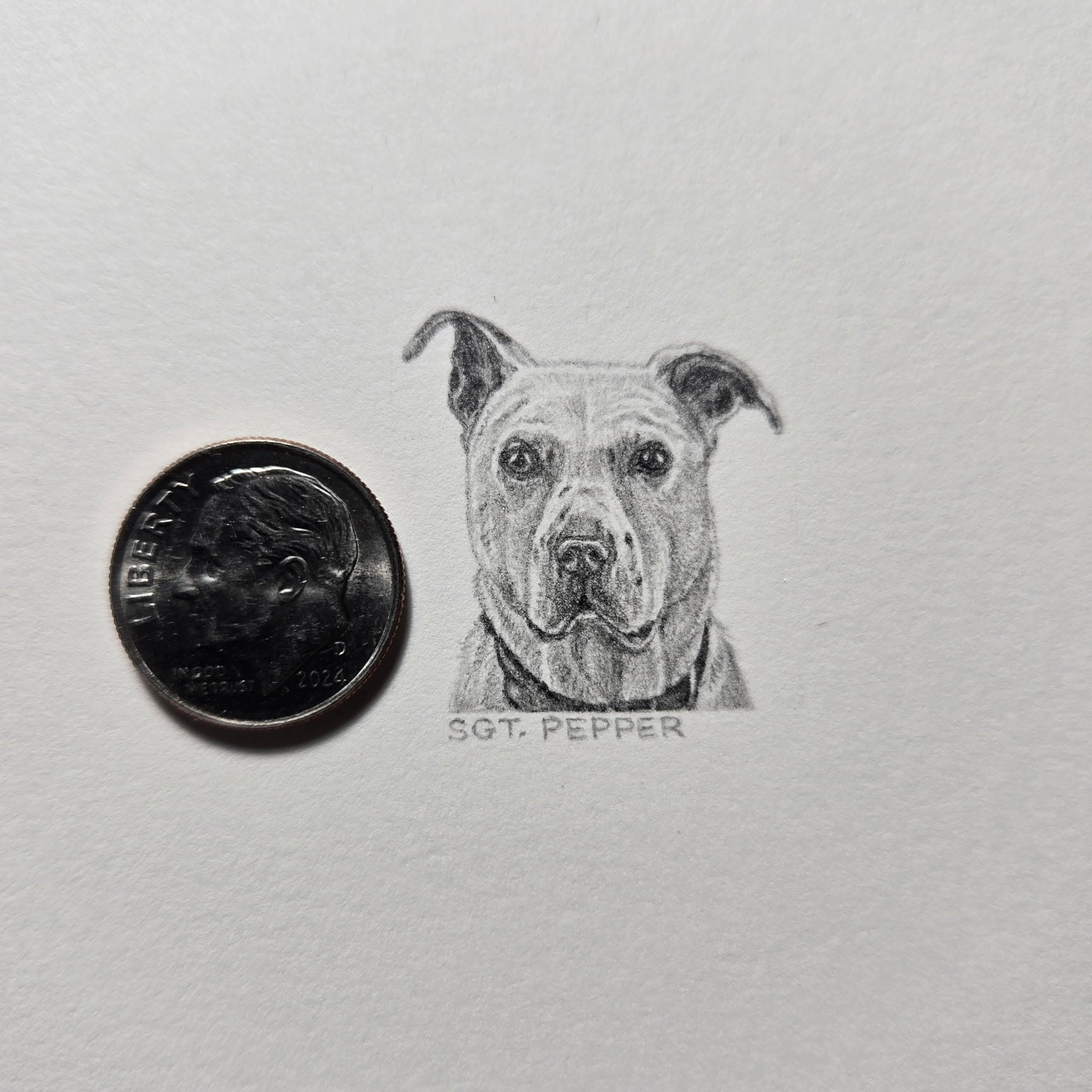1-inch-by-1-inch original black-and-white pencil portrait of your pet