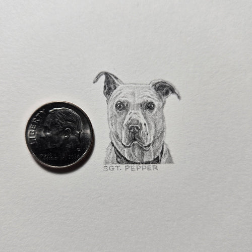 1-inch-by-1-inch original black-and-white pencil portrait of your pet