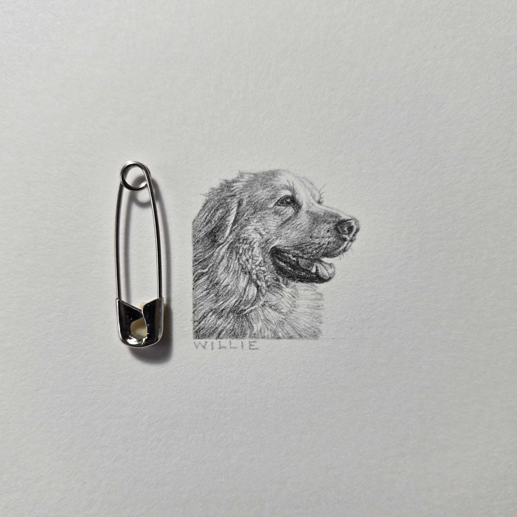 1-inch-by-1-inch original black-and-white pencil portrait of your pet